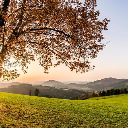Sauerland Alpin Hotel Schmallenberg Exterior photo