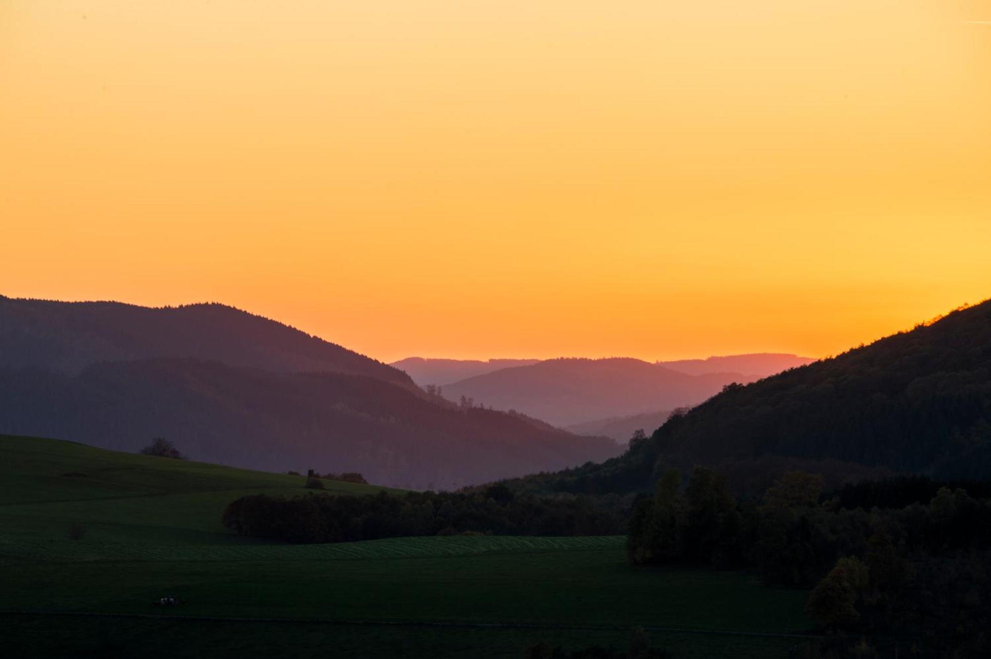 Sauerland Alpin Hotel Schmallenberg Exterior photo